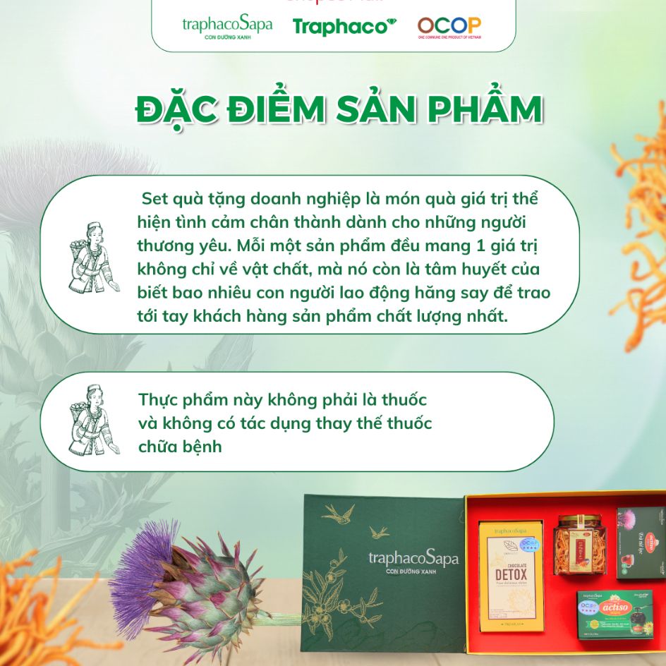  Set Quà Tặng 2 TRAPHACOSAPA Chocolate Detox Đông Trùng Trà Túi Lọc Atiso Thiểt Kế Đẹp Mắt Sang Trọng 