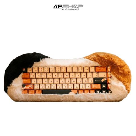 Bàn Phím Dry Studio PETBRICK 65