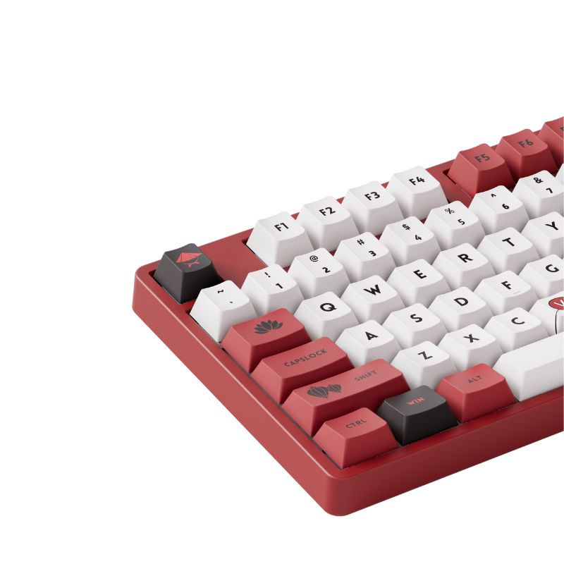 Bàn phím cơ AKKO 5108B Plus Red World Tour