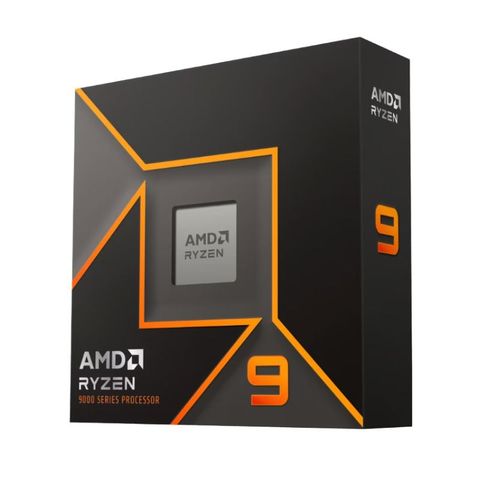 CPU AMD Ryzen 9 9900X