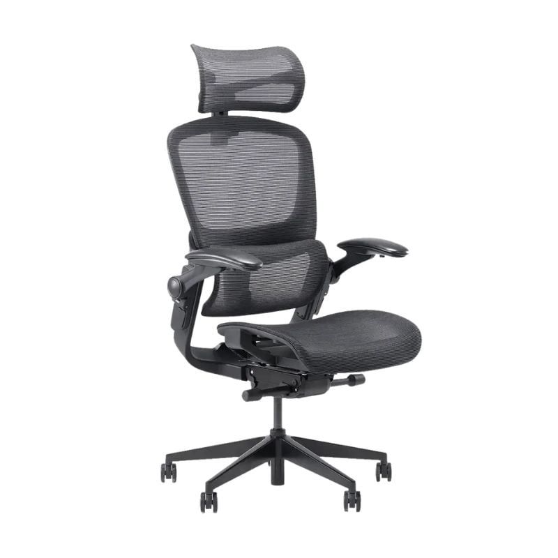 ghe-ergonomic-epione-easychair-2-0