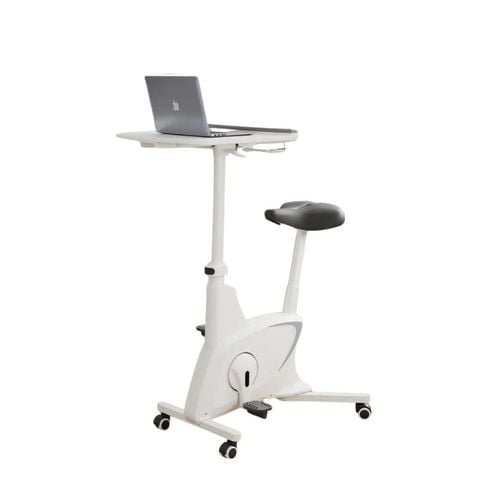 xe-dap-flexispot-v9w-n-a
