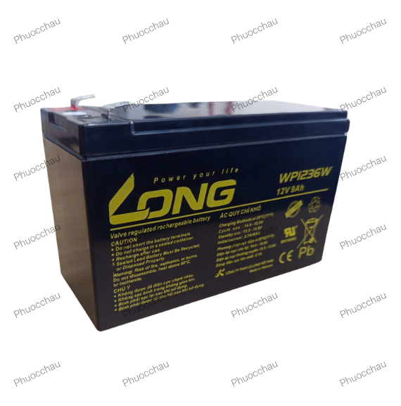 Bình ắc quy khô long 12v-9ah wp1236w dùng cho ups, lưu điện cửa cuốn, lưu điện máy tính, loa kéo