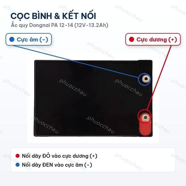 Cọc bình và cách đấu nối ắc quy Dongnai PA 12-14