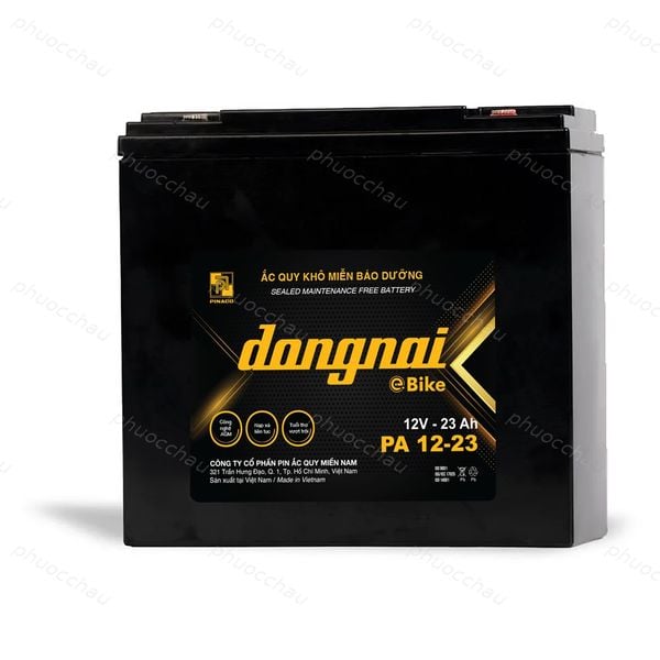Ắc quy Dongnai PA 12-23 góc nghiêng bên phải