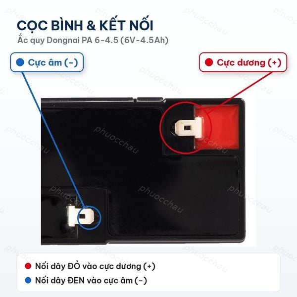 Cọc bình ắc quy Đồng Nai PA 6-4.5: cực dương (+) và cực âm (-)