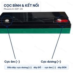 Cọc bình và cách đấu nối ắc quy Phoenix 6-DZF-25
