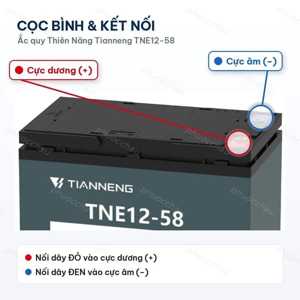 Cọc bình ắc quy Thiên Năng TNE12-58 loại I2 gồm cọc dương (+) và cọc âm (−)