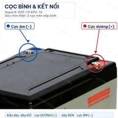 Cọc bình và cách đấu nối ắc quy Xupai 6-DZF-13 XPV-13