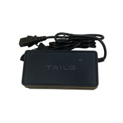 Sạc xe điện TaiLG 72V-4A, chính hãng TaiLG