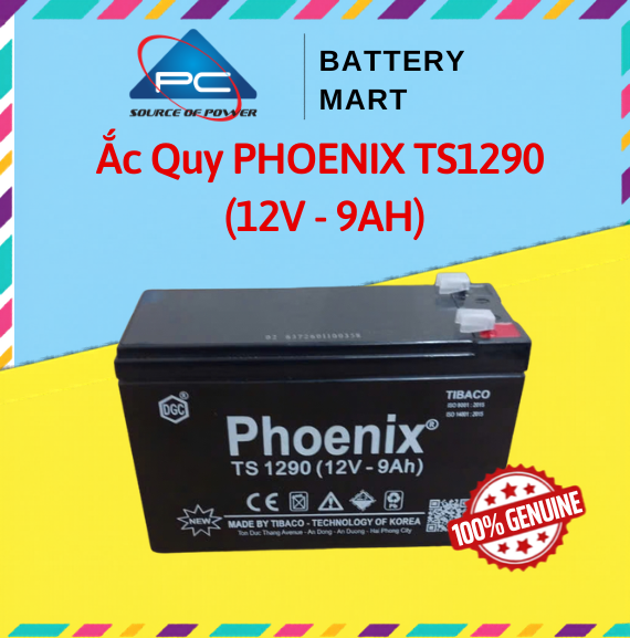 Ắc quy khô PHOENIX TS1290 12V 9Ah ảnh quảng cáo sản phẩm, vỏ vàng xanh, tem chống hàng giả