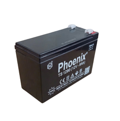 Bình Ắc Quy Khô PHOENIX TS1290 12V - 9AH Dành cho Xe Đạp Điện, Bộ lưu điện UPS, Loa Kéo, Bình Phun Thuốc Sâu, Cửa Cuốn