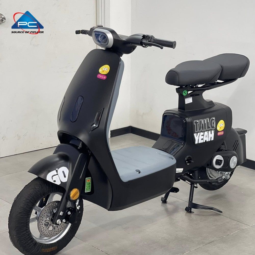 Xe Đạp Điện TaiLG GR55