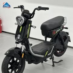 Xe Đạp Điện TaiLG GX30