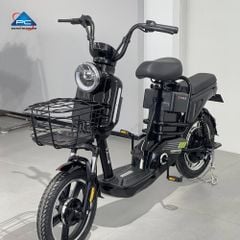 Xe Đạp Điện TaiLG JY34