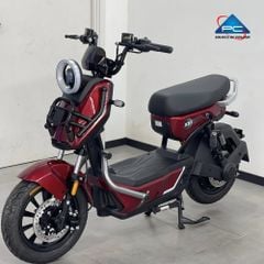 Xe Đạp Điện TaiLG X51