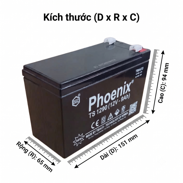 Bình ắc quy khô PHOENIX TS1290 12V 9Ah hình chiếu kích thước dài 151mm rộng 65mm cao 102mm