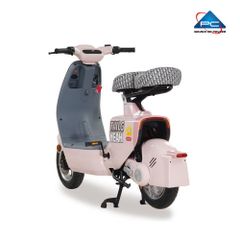 Xe Đạp Điện TaiLG GR55