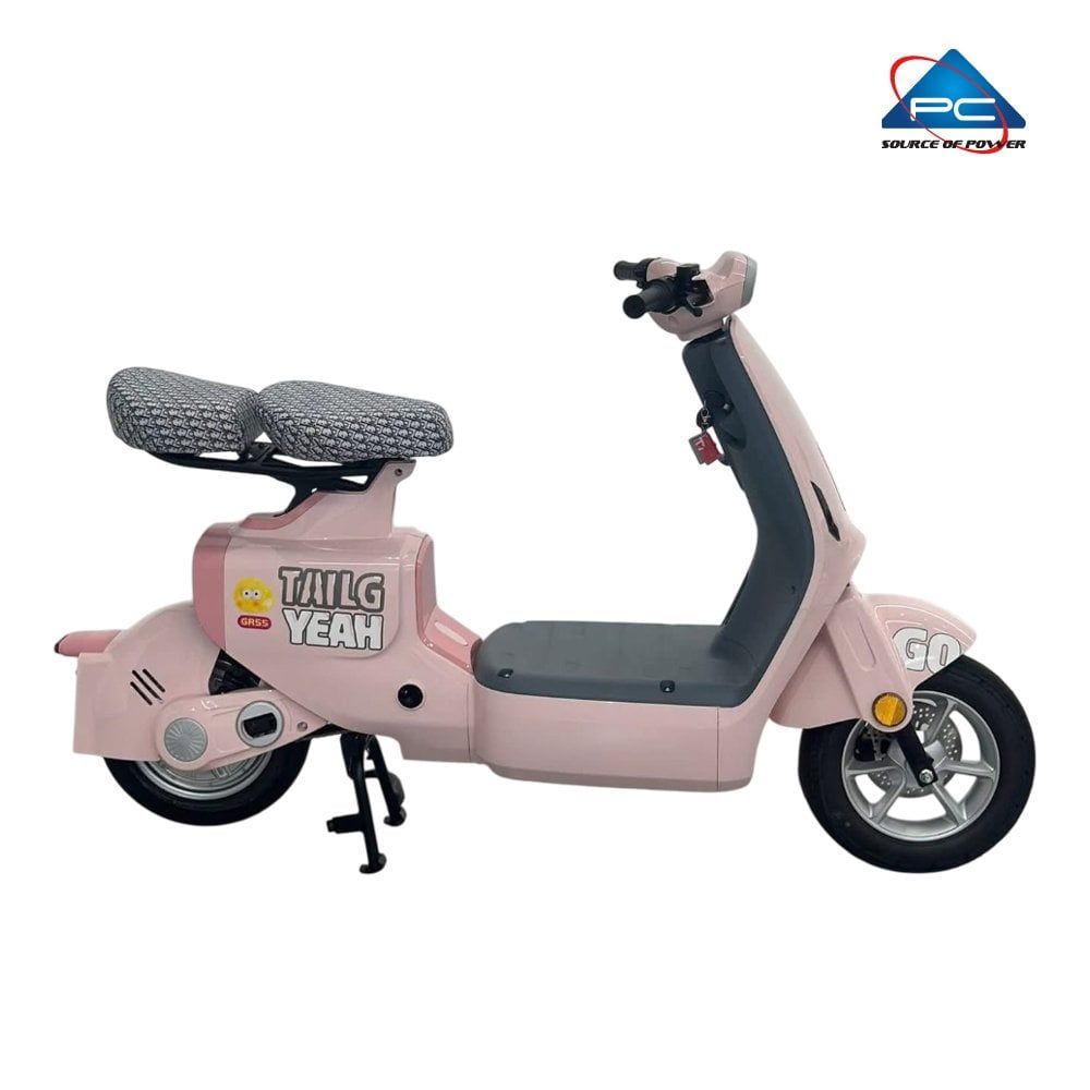 Xe Đạp Điện TaiLG GR55