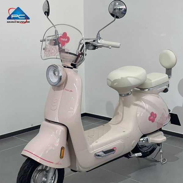 Xe đạp điện TaiLG JS50 màu hồng phấn nhìn từ trên, yên xe màu kem, gương chiếu hậu và tem hoa sen