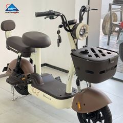 Xe Đạp Điện TaiLG JY33