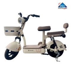 Xe Đạp Điện TaiLG JY33