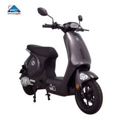 Xe Đạp Điện TaiLG GR56