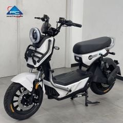 Xe Đạp Điện TaiLG X51