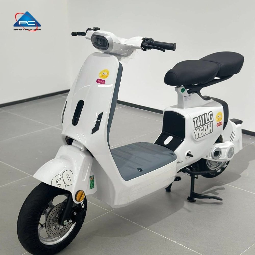 Xe Đạp Điện TaiLG GR55