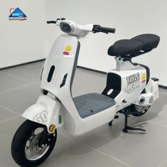 Xe Đạp Điện TaiLG GR55