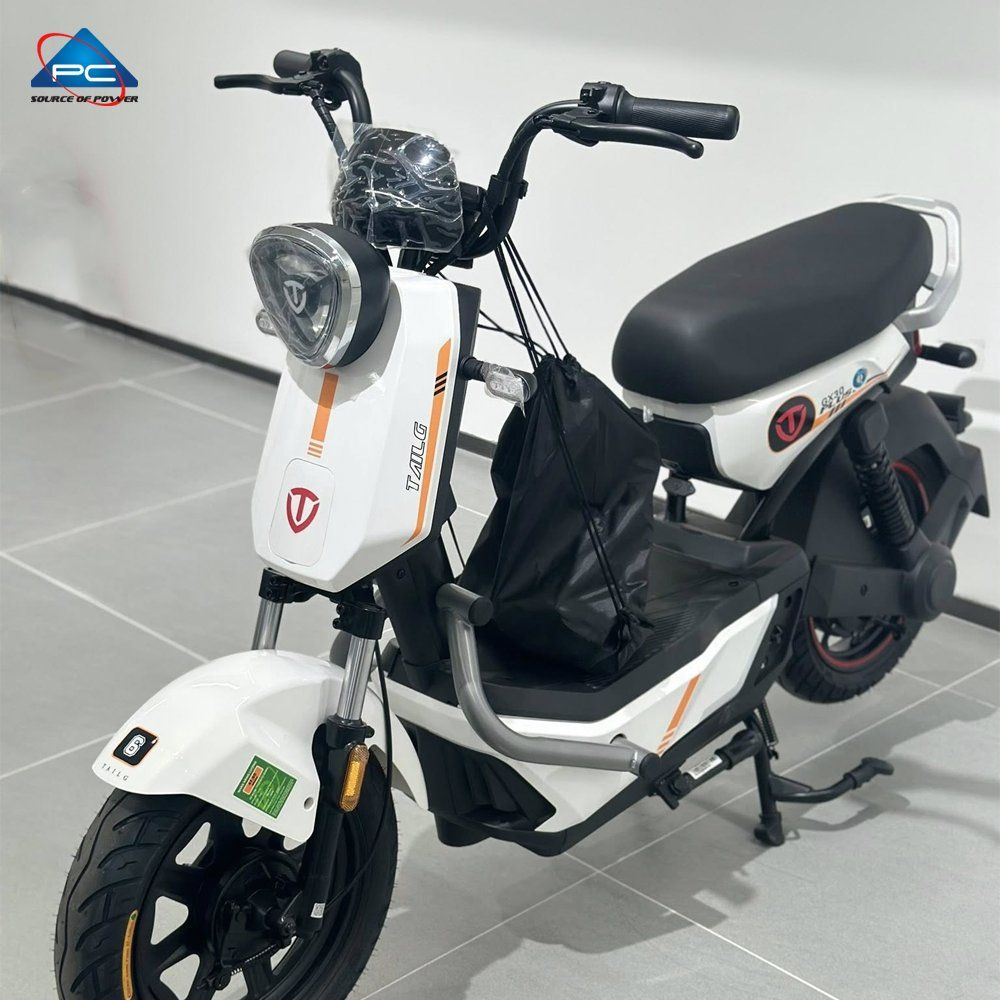 Xe Đạp Điện TaiLG GX30