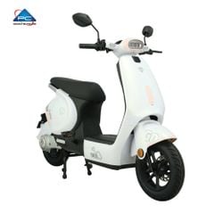 Xe Đạp Điện TaiLG GR56