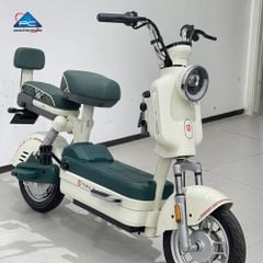 Xe Đạp Điện TaiLG JS32