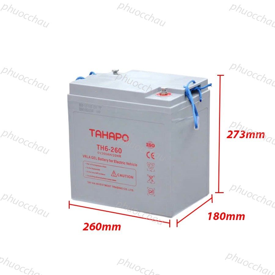 Ắc Quy Tahapo TH6-260 6V-260Ah,  ắc quy dùng cho xe điện, xe golf, xe chà sàn