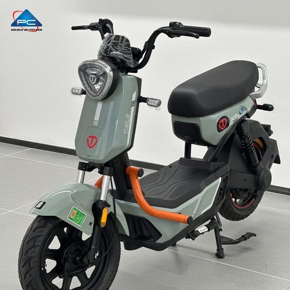 Xe Đạp Điện TaiLG GX30