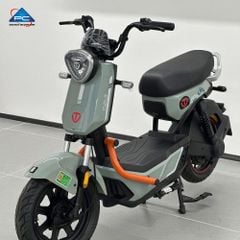 Xe Đạp Điện TaiLG GX30