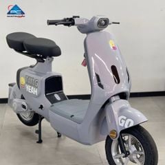 Xe Đạp Điện TaiLG GR55