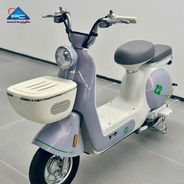 Xe đạp điện TaiLG JS50 màu xám bạc, góc nghiêng trái, giỏ trước màu trắng và tem hoa sen xanh