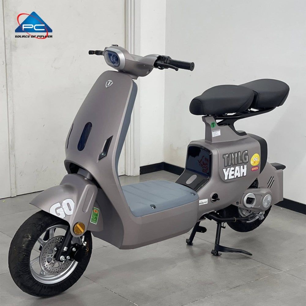 Xe Đạp Điện TaiLG GR55