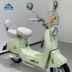 Xe Đạp Điện TaiLG JS50