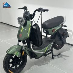 Xe Đạp Điện TaiLG GX30