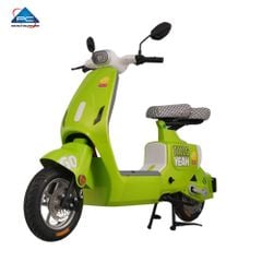 Xe Đạp Điện TaiLG GR55