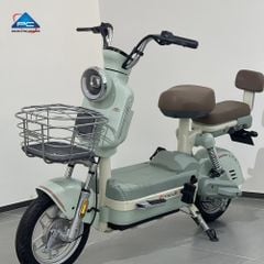 Xe Đạp Điện TaiLG JS32