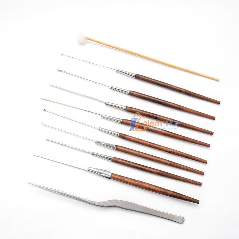Bộ Ráy Tai Lâm Uyên Hộp 10 Cây, An Toàn, Tiện Lợi Cho Cả Gia Đình
