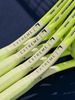 Vợt Tennis HEAD Extreme MP L 2024