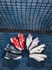 Giày Tennis trẻ em HEAD SPRINT COURT 4.0 JUNIOR RDDR