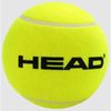 Bóng to bày mẫu HEAD