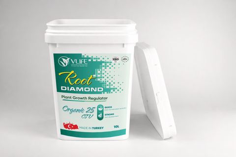 ORGANIC 25 (COLORISE)
