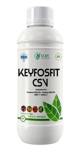 KEYFOSFIT