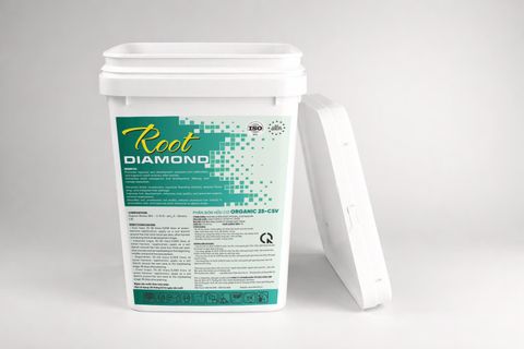 ORGANIC 25 (COLORISE)